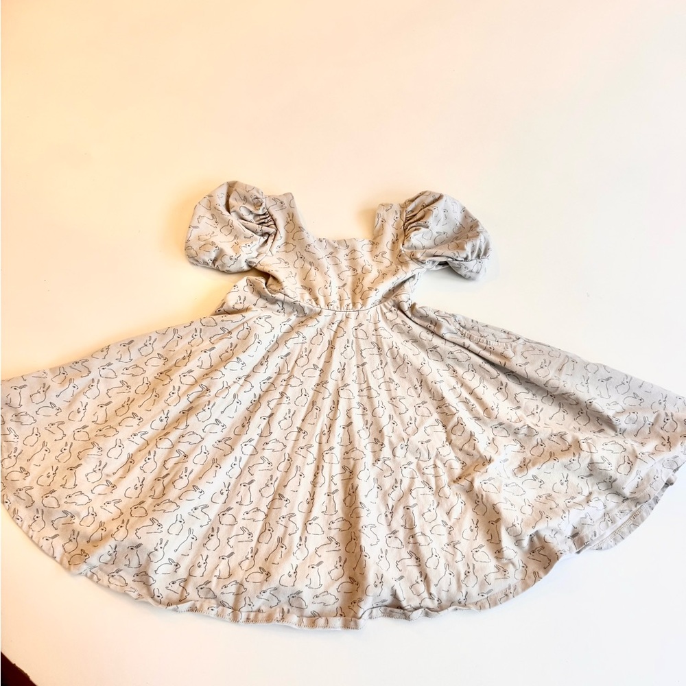 Remie Girl 5T bunny twirl dress
